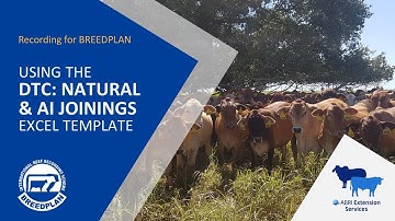 Using the Days To Calving: Natural & AI Joinings Excel Template