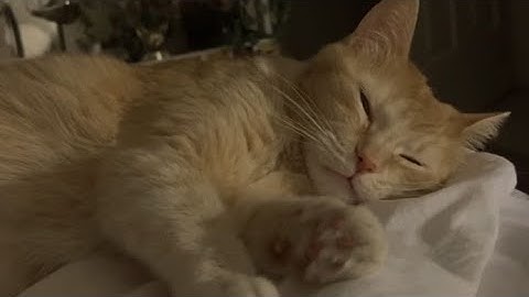 blocksmc but if i meet hacker the video ends