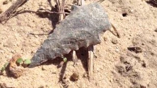 One FINE Time! ~ 413 Artifact Find! Apr 2016