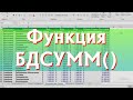 Функция БДСУММ в Excel / David Kunela Academy