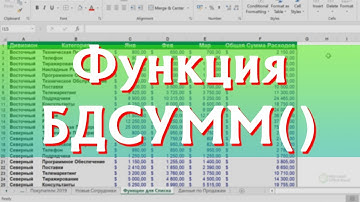 Функция БДСУММ в Excel / David Kunela Academy
