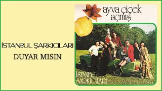 İstanbul Şarkıcıları - Duyar Mısın Resimi