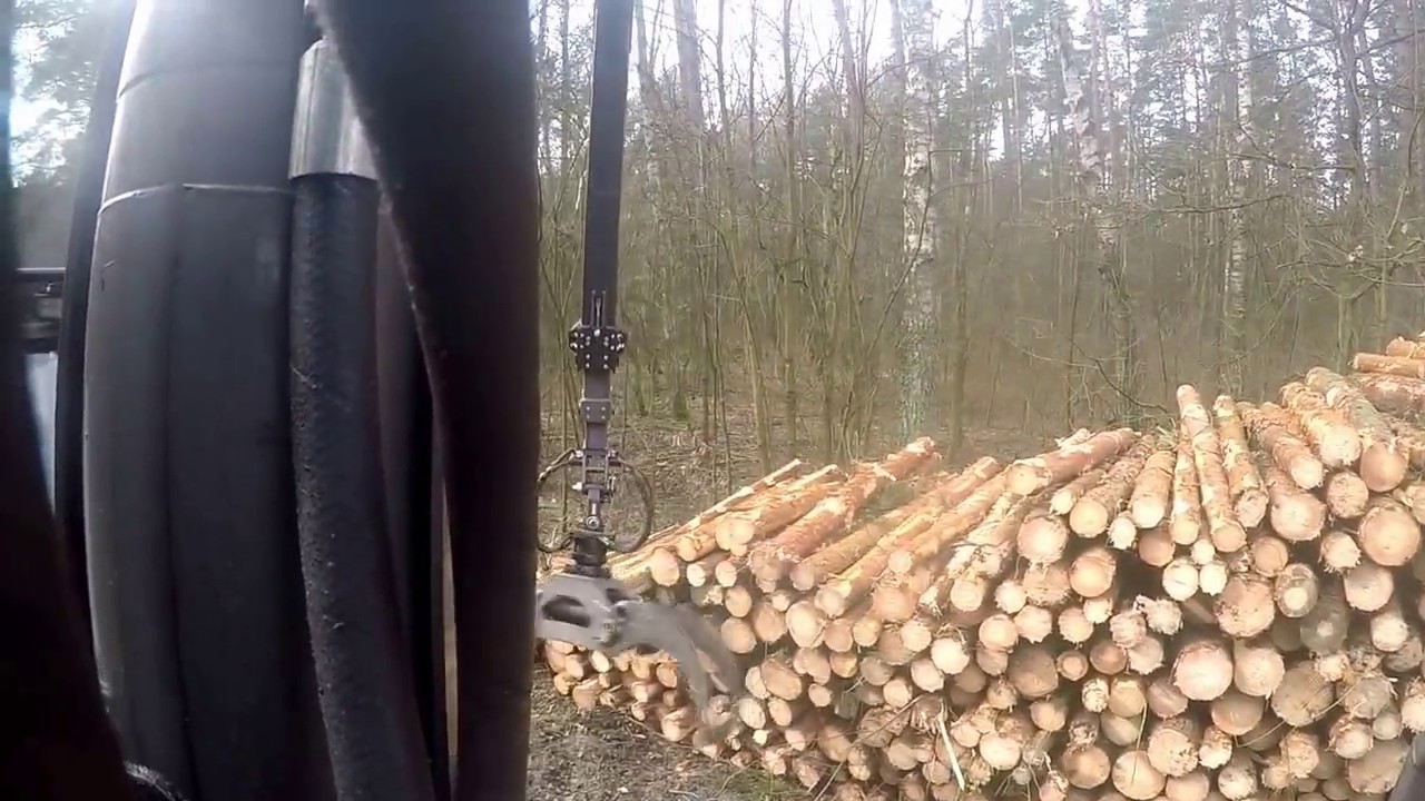 Zrywka drewna MTZ PALMS GoPro