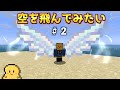 ～今日で終わらせます～空を飛んでみたい配信　＃２