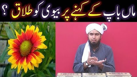 PARENTS (Man_Bap) kay kehnay per WIFE (Biwi) to TALAQ dena kesa ??? (By Engineer Muhammad Ali Mirza)