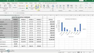Spreadsheet Tutorial 6