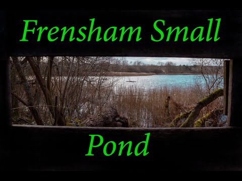 Windy Walk Around Frensham Small Pond