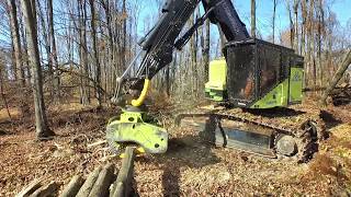 TimberPro TN735D harvester cutting with a JP Skidmore CF22 fixed head
