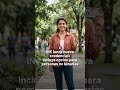 INE lanza nueva credencial: ahora incluye opción para personas no binarias