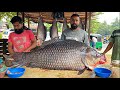 Never seen live 50kg big calta fish cutting in village sri lanka excellent fish cutting skills