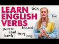 Animals as Verbs Quiz
