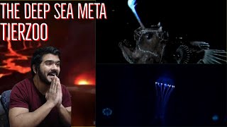 The Deep Sea Meta (TierZoo) CG Reaction