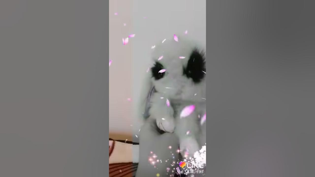 Зайец😁 - YouTube