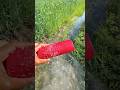JBL flip 2 water drop