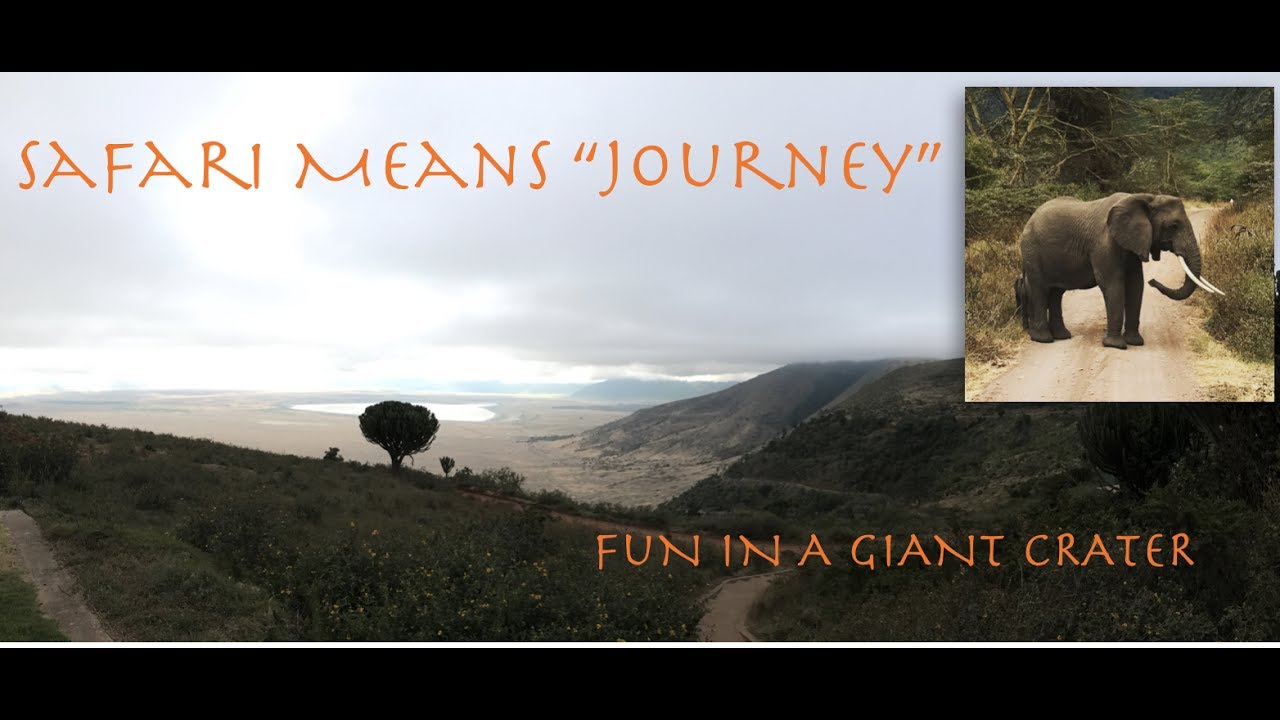 life facebook African SAFARI in 4k monkeys, elephants, and hippos inside a massive crater!