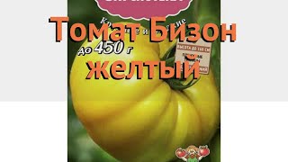 Томат Обыкновенный Бизон Желтый Bizon-Zheltyy Обзор Как Сажать, Семена Томата Бизон Желтый
