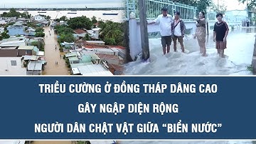 Triều cường ở Đồng Tháp dâng cao gây ngập diện rộng, người dân chật vật giữa “biển nước”