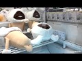UFOキャッチャー 白ウサギなめこ(ひたすらフードを狙う!)