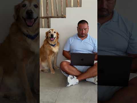 Las propuestas de matrimonio son mi pasion #youtubeshorts #proposal #amor #couples #holbox