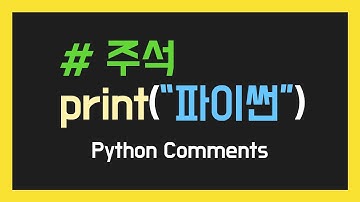 파이썬 주석 - 사람을 위한 코드