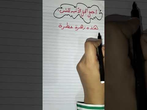 ازاي احول بين الضمائر واسماء الإشارة ازاي احول من المفرد للمثني ومن المثني المفرد اسئلة
