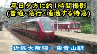 【近鉄大阪線・東青山駅】平日夕方の普通・急行と通過する特急列車