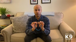 Prudent K9 Training - Tools I Use Dominant Dog Collar Snap-Around Collar 2022 Edition