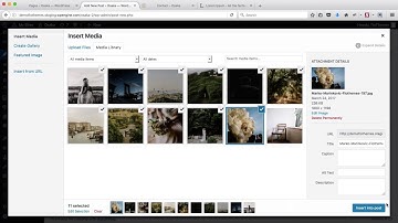 Getting Started with a Flotheme