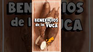 ¡Importante! Beneficios de la YUCA en nuestra salud #shorts