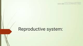 9. Reproductive system - questions screenshot 5