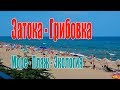 Море и пляжи в Одесской области. Затока и Грибовка с золотыми песчаными пляжами. Обзор.