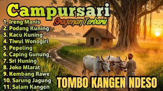 FULL NONSTOP 2 JAM PLAYLIST LAGU CAMPURSARI KOPLO SRAGENAN   TAYUB AUDIO SUPER BASS CLARITY