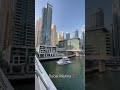 Dubai Marina Amazing Views🇦🇪 #dubai #dubaimarina #burjkhalifa #travel #trending #viral #shorts