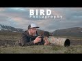 This might be my BEST pictures // Bird photography in the mountain // Nikon Z9