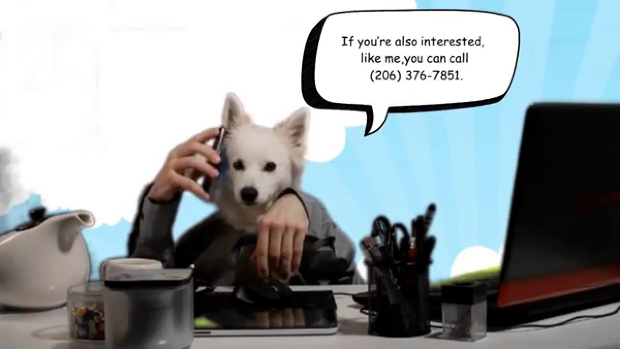 Funny Ozzy Loves Travel Dog Bowls Video