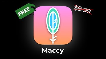 The Maccy Experience