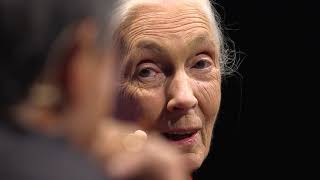 Dr. Jane Goodall, DBE, with Guy Kawasaki  | Dr. Jane Goodall & Guy Kawasaki | TEDxPaloAltoSalon