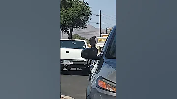 I Always See The Craziest Things Here 