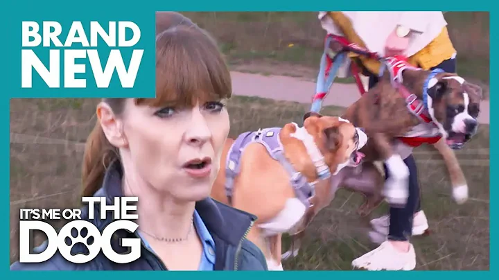 Tyson The Boxer Lives Up to His Name! | Full Episo...