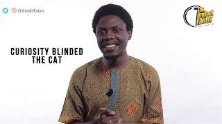 Curiosity Blinded The Cat - The Impact Factor E395
