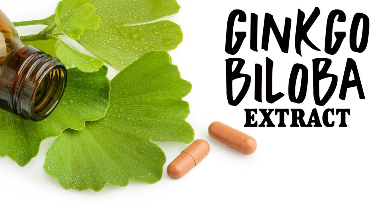 workouts traduccion Ginkgo Biloba Extract - BOOST Immune System & Muscle Recovery