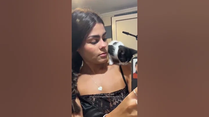 Video 10618271: cat kitten funny, pet entertainment, cat eyes