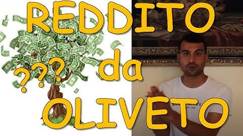 GUADAGNARE con l'OLIVETO - ANALISI dei COSTI e dei PROFITTI - Olivo Tradizionale