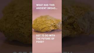 What has this ancient bread got to do with the future of food?