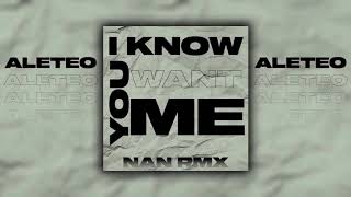 I Know You Want Me - Nan Rmx Aleteo, After Party