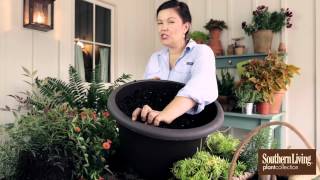 Fresh and Easy Decorating Tips: Carmen Johnston, Garden Lifestyle Expert for the Southern Living® Plant Collection, teaches you 