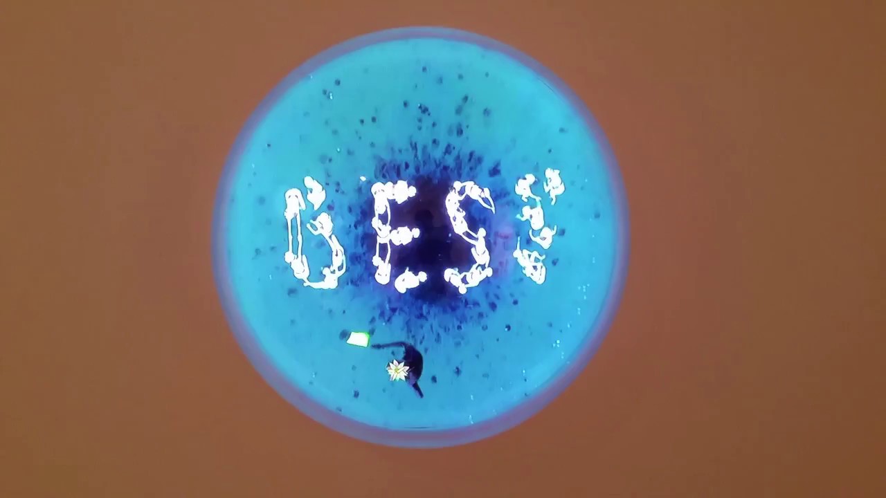 Video by artist Katja Loher