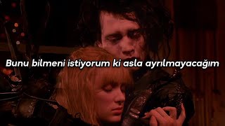 Sia - Snowman (Türkçe Çeviri) | Edward Scissorhands