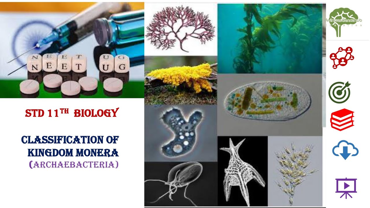Classification of Monera kingdom (Archaebacteria) #education #biology  #microbiology #neet
