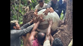Urns filled with human bones and fish remains found buried in the Amazon